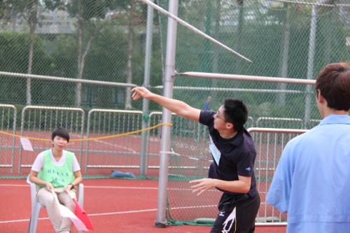 IMG 4582