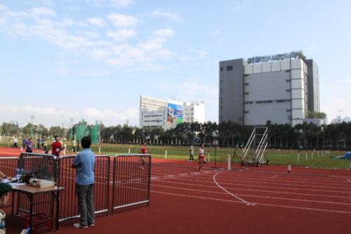 IMG 4599