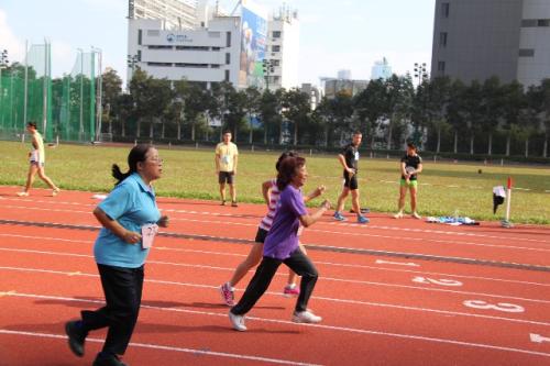 IMG 4626