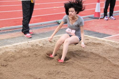 IMG 4799