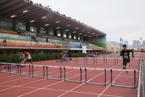 IMG 037 1